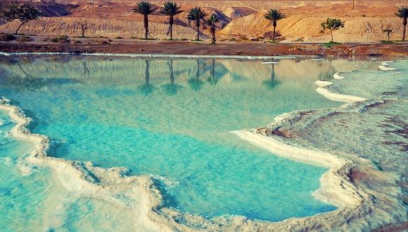 ТАУ вместе с региональным советом Тамар, научным центром Мертвого моря, фондами Портера и ICA и министерством регионального сотрудничества основал на Мертвом море Институт исследования жизни в экстремальных условиях 